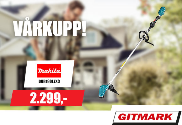 20210422_r210977_desktop_netboard_580x400_Gitmark_3